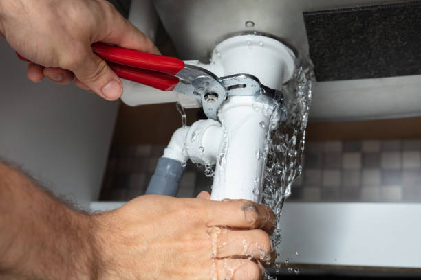 Best Flooded house restoration  in Chesapeake, VA