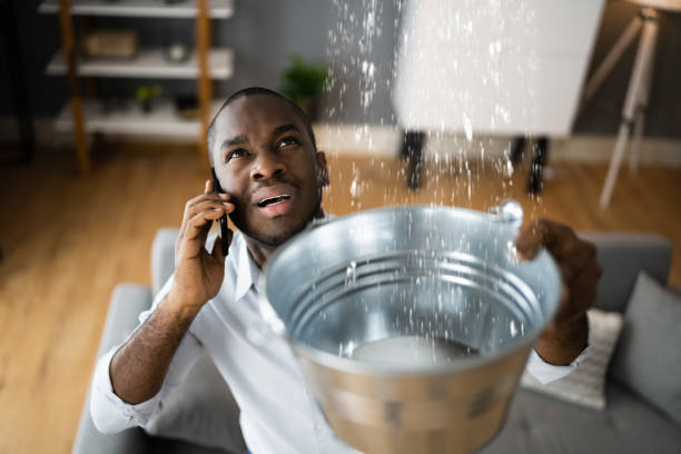 Best Fire Damage Restoration  in Chesapeake, VA