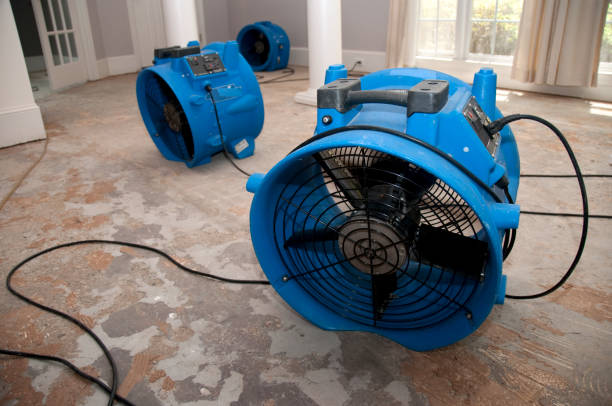 Best Water damage restoration near me  in Chesapeake, VA