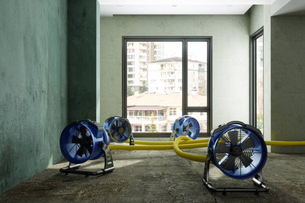 Best Water damage cleanup near me  in Chesapeake, VA